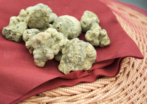 Istrian White truffles (c) Istria Tourism