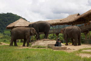elephant-nature-park-big-004