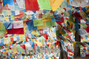 西藏經文幡旗 - 余宇安攝